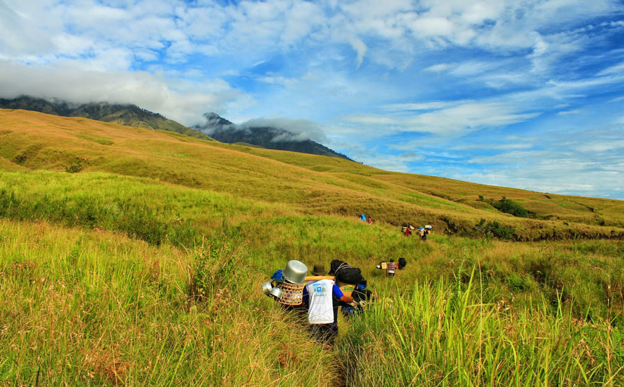 Starting from the Sembalun regions, we are greeted by the Savannas along 6 kilometers