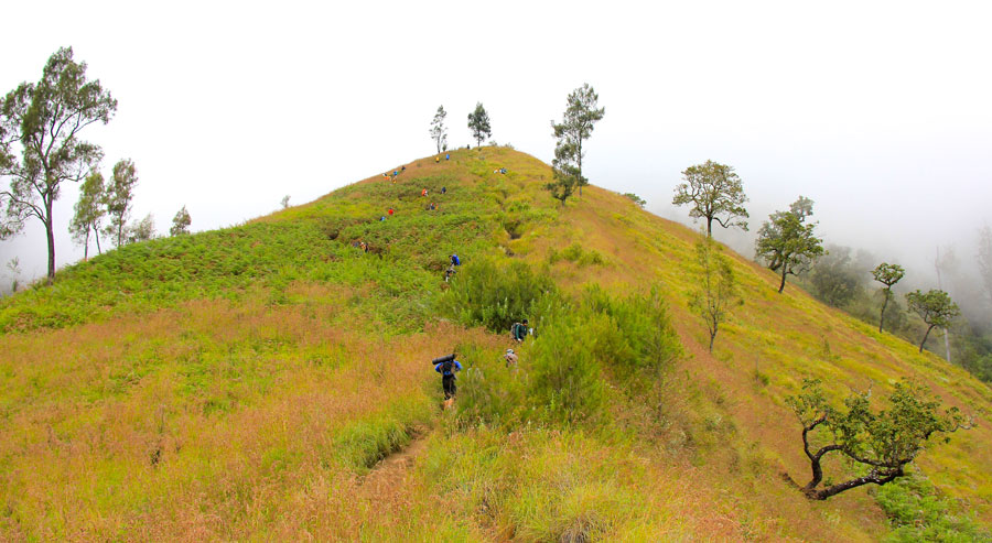 Bukit-bukit penyesalan - Gunung Rinjani