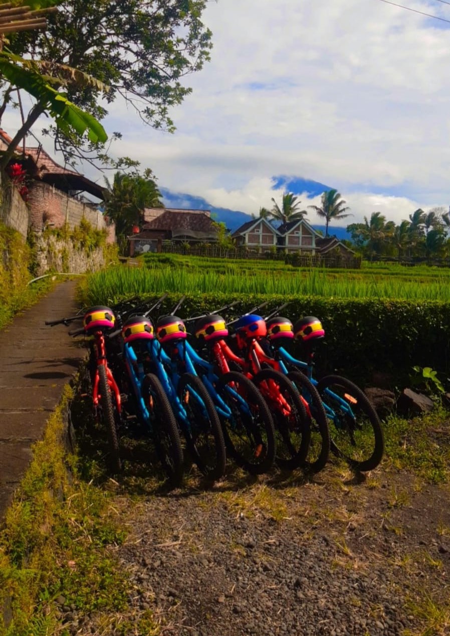 Tour Sepeda Tetebatu Lombok