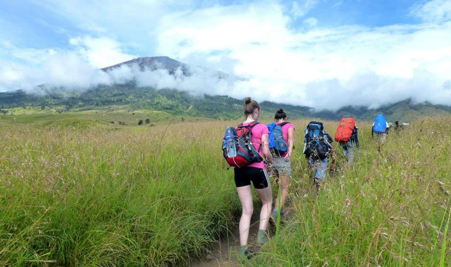 The savannah at Sembalun Lawang village of Mount Rinjani National Park - Lombok Island Indonesia